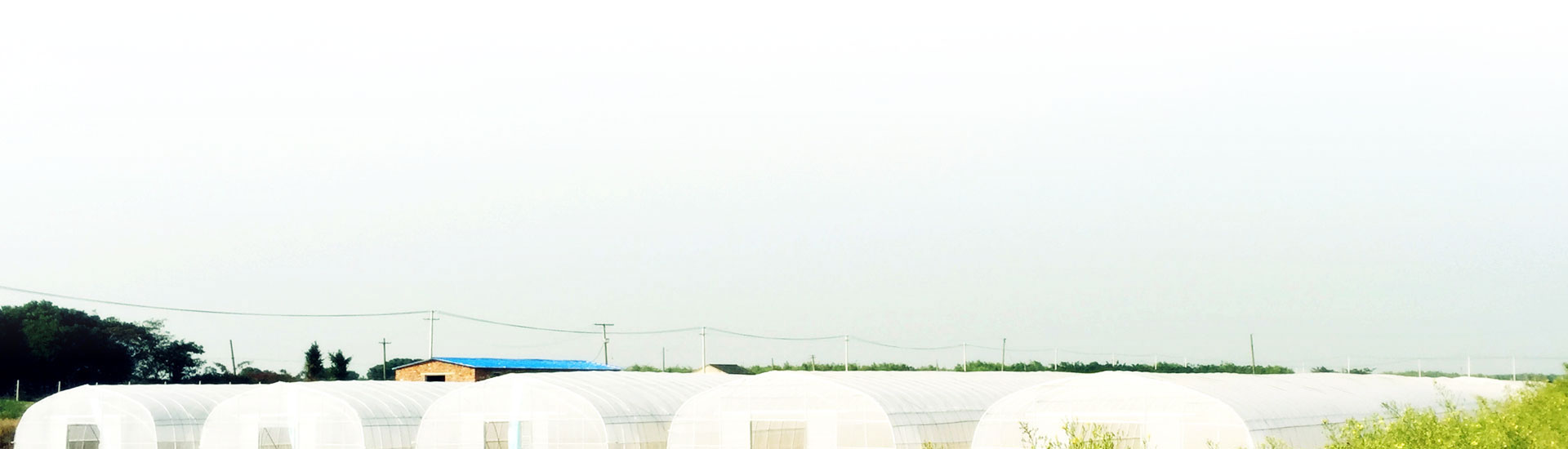 山東昊雨節(jié)水灌溉科技有限公司